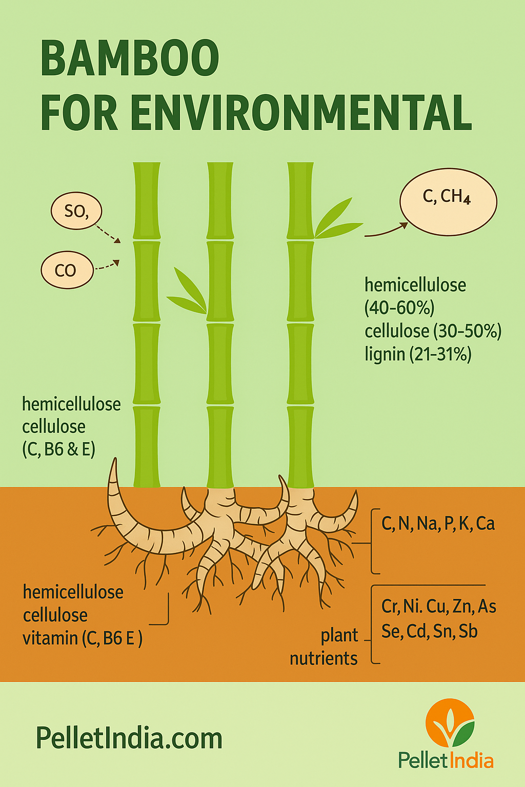 bamboo and enviromental
